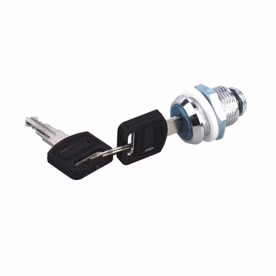 4/6/9/12u 19-Zoll-Netzwerkschrank für den Innenbereich, Wandmontage, OEM RoHS