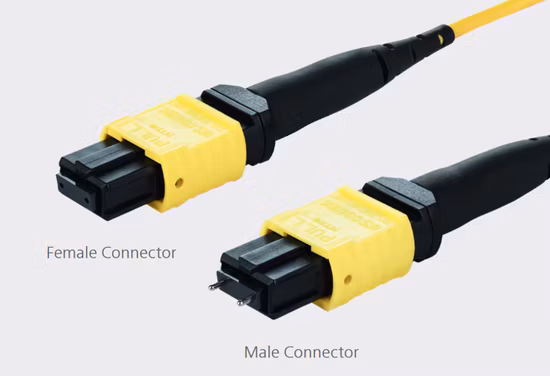 Single Mode Elite Fiber Patchkabel MPO Jumper Ofnp Ofnr Trunk Glasfaserkabel